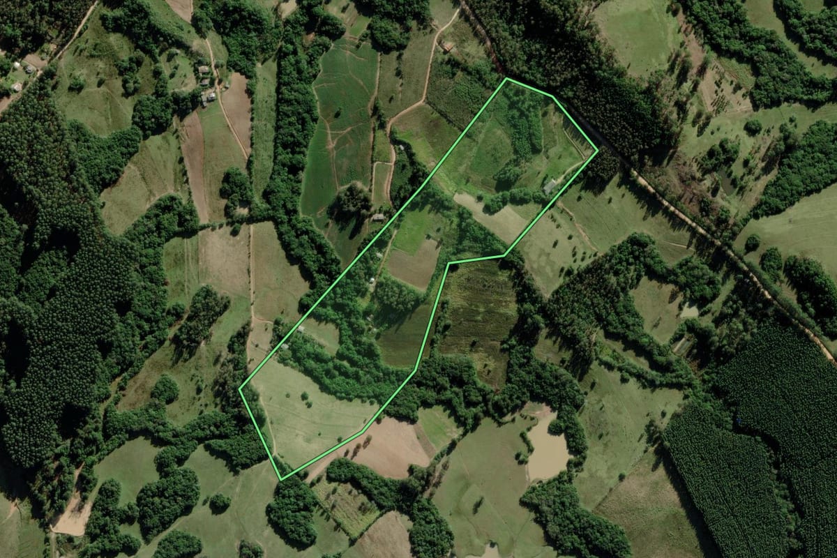 Imagem de satélite do imóvel rural em Mariana Pimentel (RS), com o contorno declarado no CAR desenhado por cima.