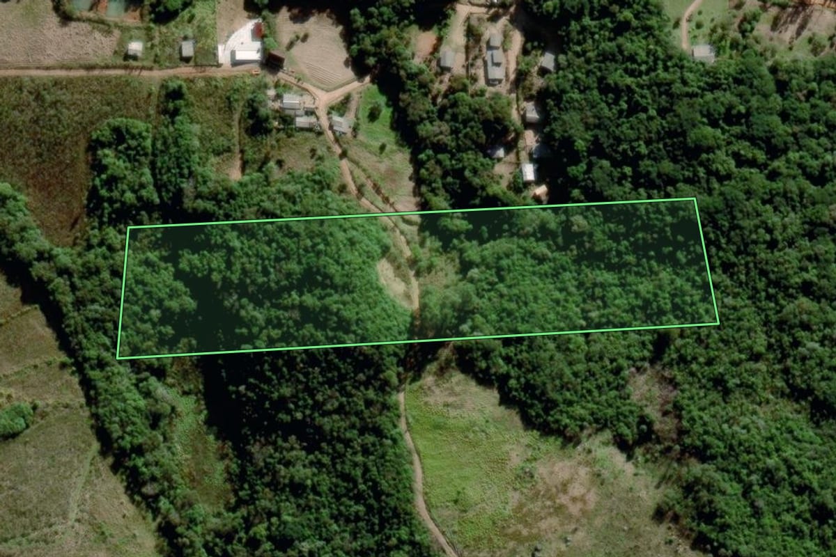 Imagem de satélite do imóvel rural em Mariana Pimentel (RS), com o contorno declarado no CAR desenhado por cima.