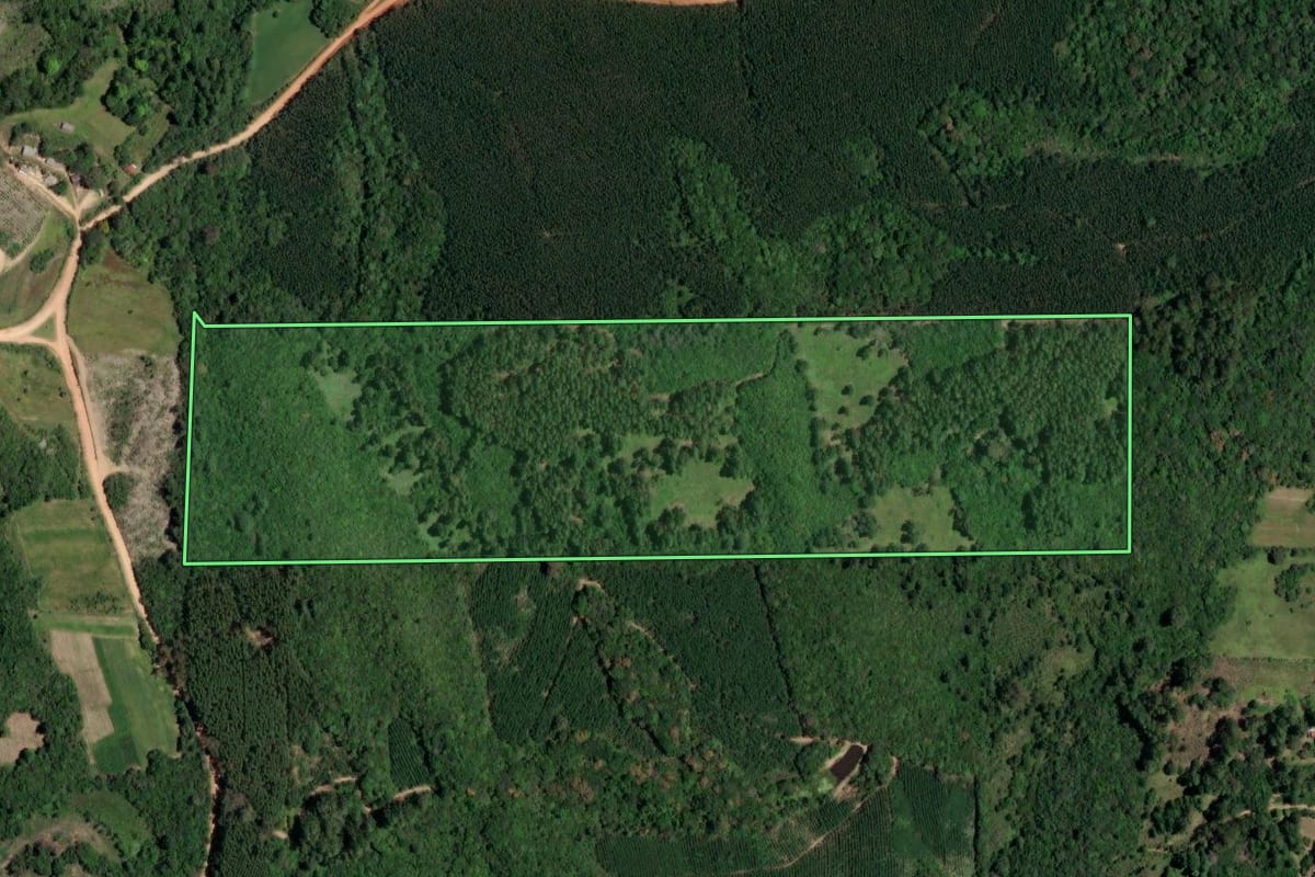 Imagem de satélite do imóvel rural em Mariana Pimentel (RS), com o contorno declarado no CAR desenhado por cima.