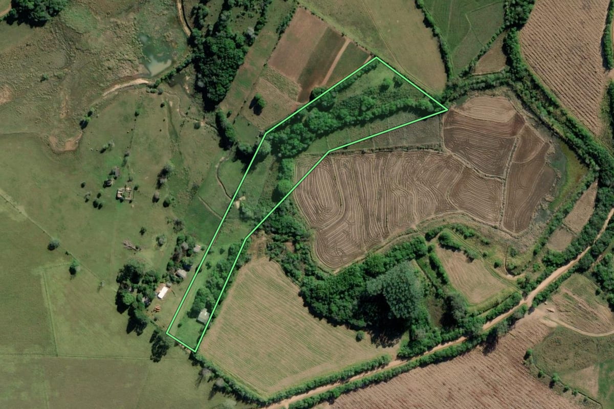 Imagem de satélite do imóvel rural em Mariana Pimentel (RS), com o contorno declarado no CAR desenhado por cima.