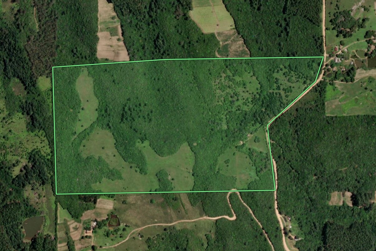 Imagem de satélite do imóvel rural em Mariana Pimentel (RS), com o contorno declarado no CAR desenhado por cima.