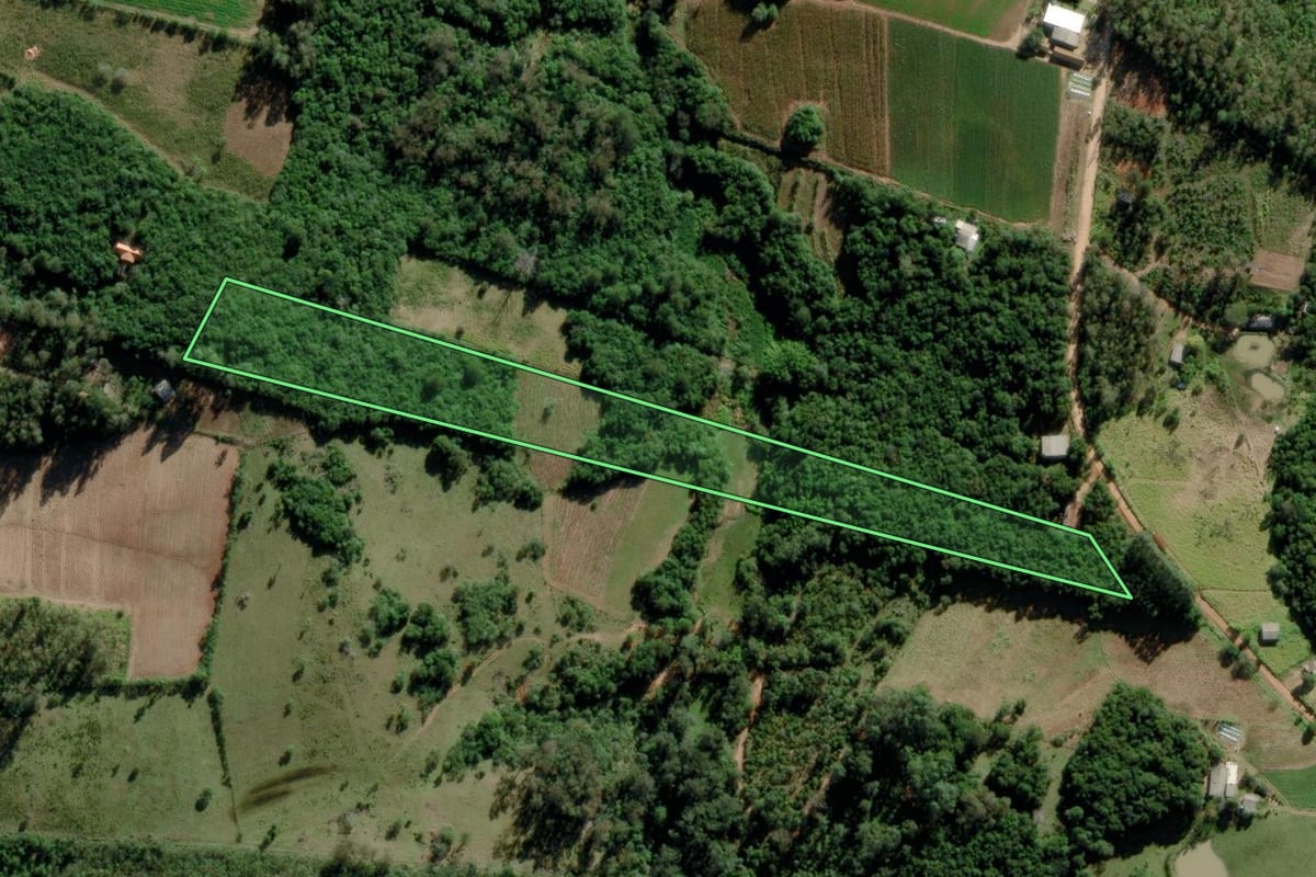 Imagem de satélite do imóvel rural em Mariana Pimentel (RS), com o contorno declarado no CAR desenhado por cima.