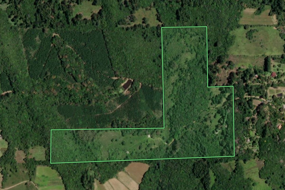 Imagem de satélite do imóvel rural em Mariana Pimentel (RS), com o contorno declarado no CAR desenhado por cima.