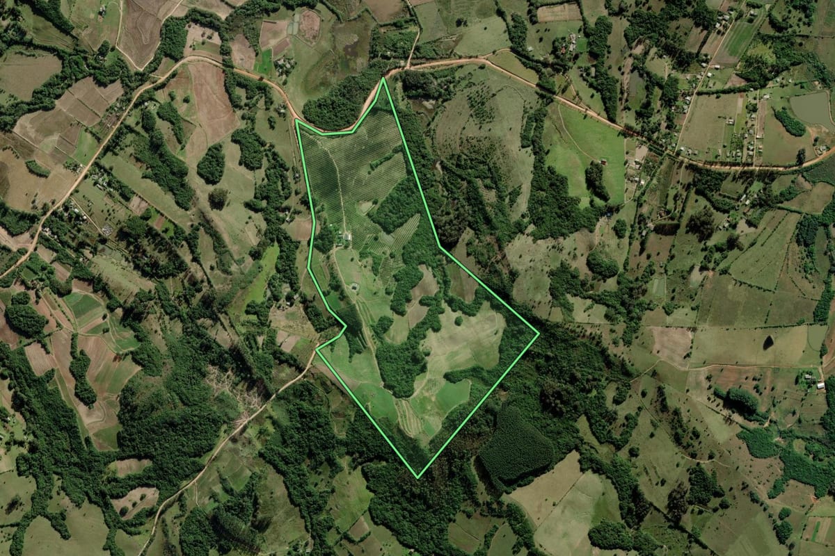 Imagem de satélite do imóvel rural em Mariana Pimentel (RS), com o contorno declarado no CAR desenhado por cima.