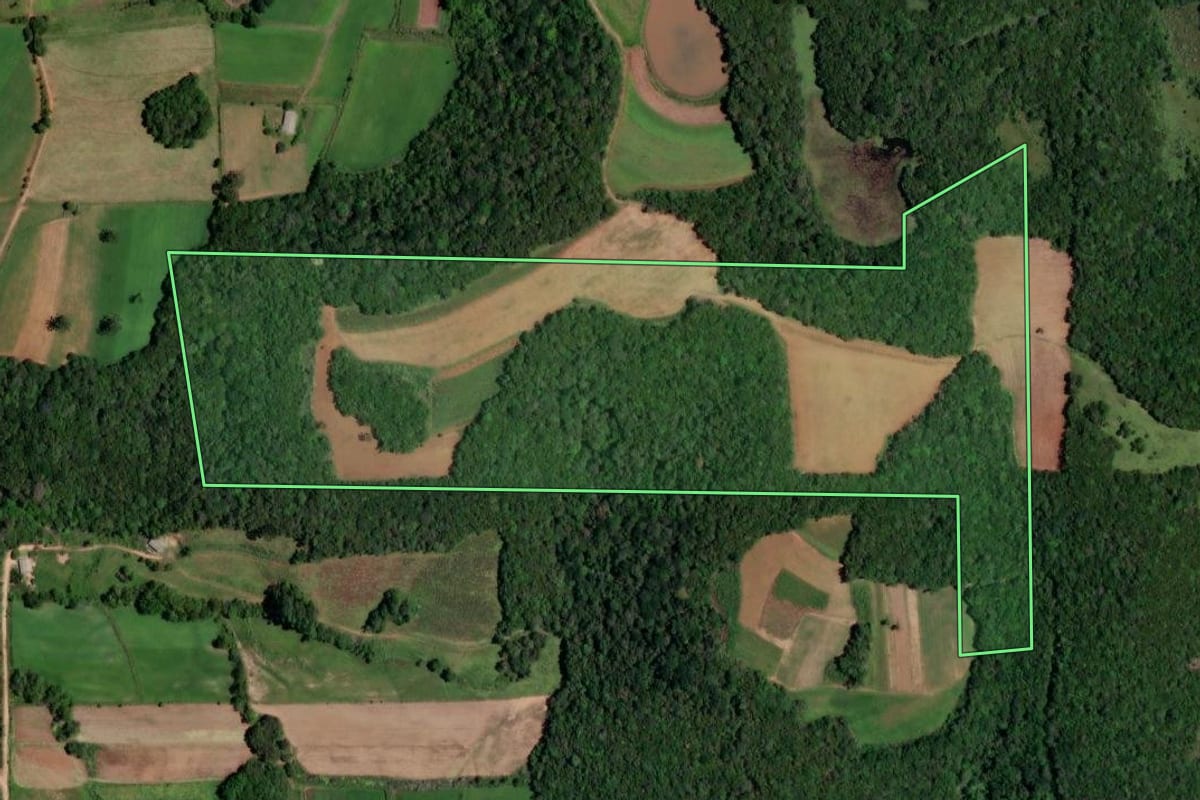 Imagem de satélite do imóvel rural em Mariana Pimentel (RS), com o contorno declarado no CAR desenhado por cima.