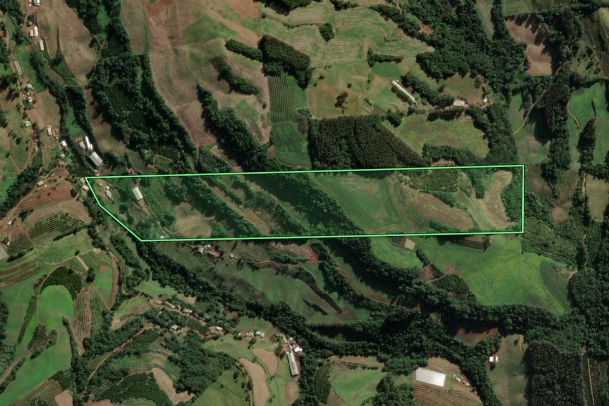 Imagem de satélite do imóvel rural em Mariano Moro (RS), com o contorno declarado no CAR desenhado por cima.
