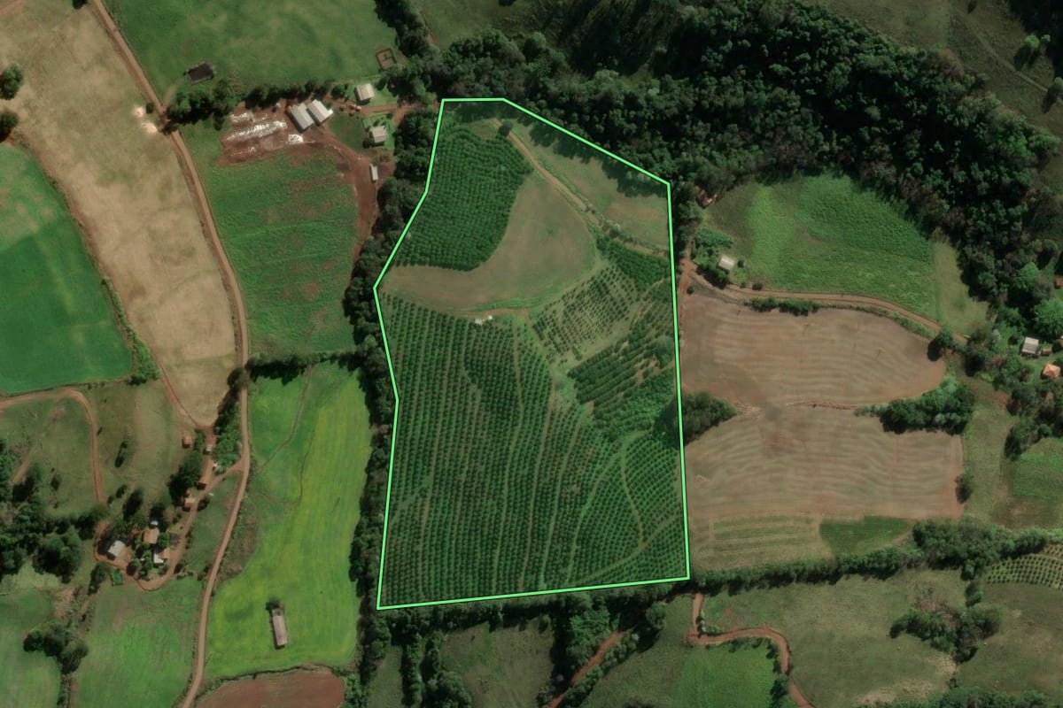 Imagem de satélite do imóvel rural em Mariano Moro (RS), com o contorno declarado no CAR desenhado por cima.