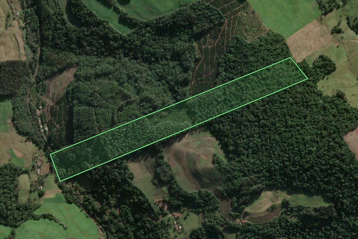 Imagem de satélite do imóvel rural em Mariano Moro (RS), com o contorno declarado no CAR desenhado por cima.