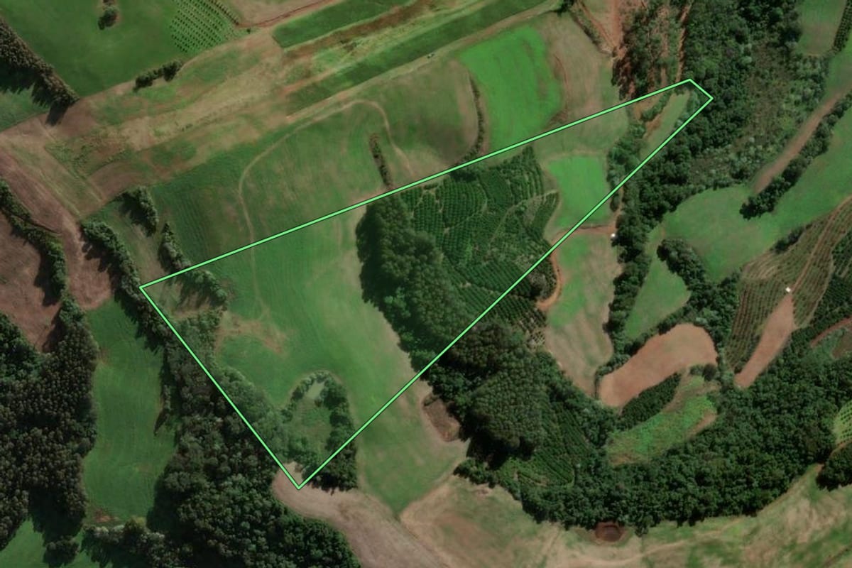Imagem de satélite do imóvel rural em Mariano Moro (RS), com o contorno declarado no CAR desenhado por cima.