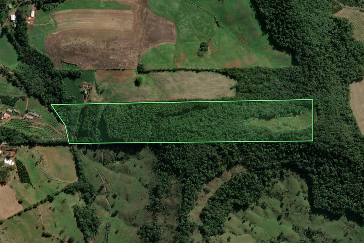 Imagem de satélite do imóvel rural em Mariano Moro (RS), com o contorno declarado no CAR desenhado por cima.
