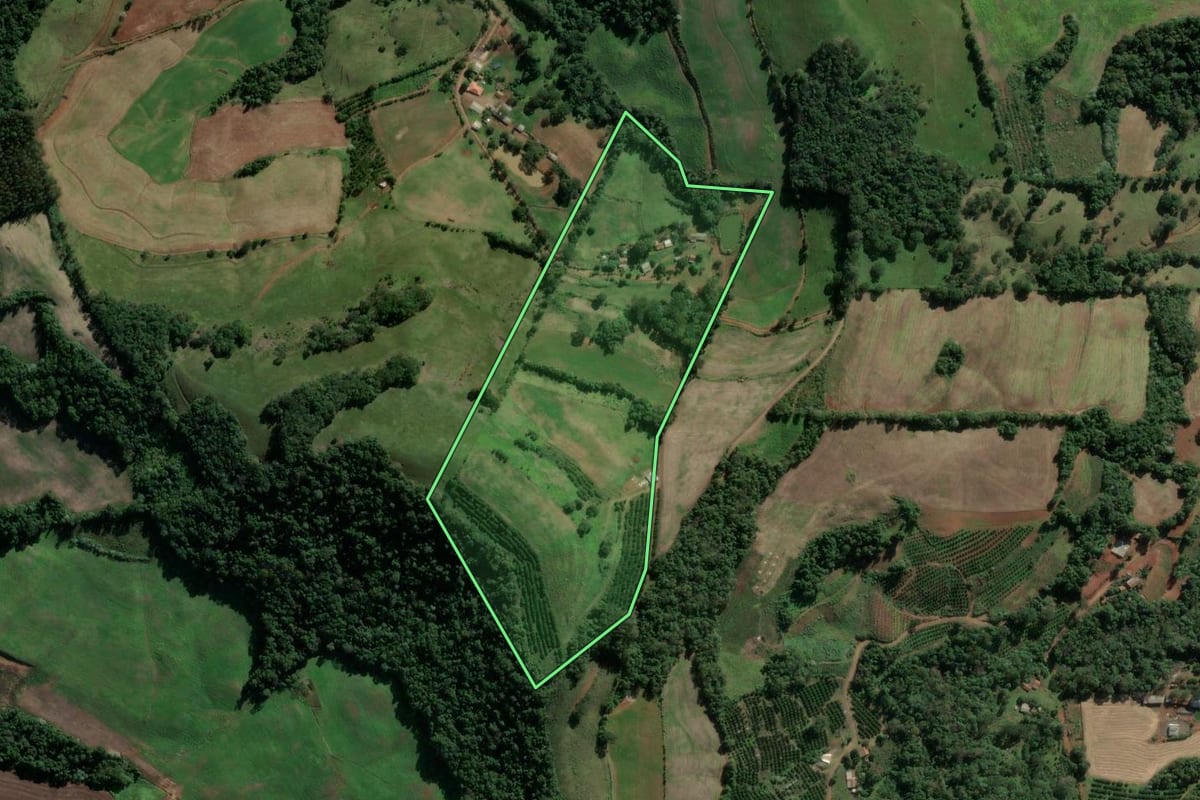 Imagem de satélite do imóvel rural em Mariano Moro (RS), com o contorno declarado no CAR desenhado por cima.