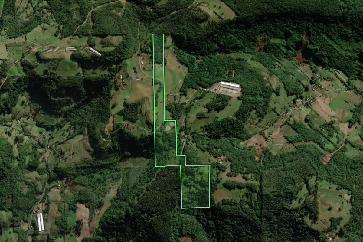 Imagem de satélite do imóvel rural em Marques de Souza (RS), com o contorno declarado no CAR desenhado por cima.