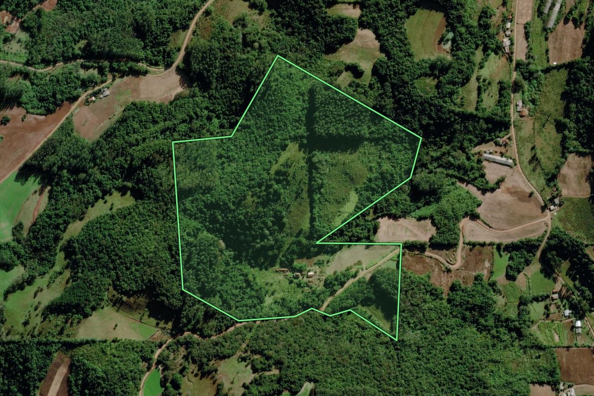Imagem de satélite do imóvel rural em Marques de Souza (RS), com o contorno declarado no CAR desenhado por cima.