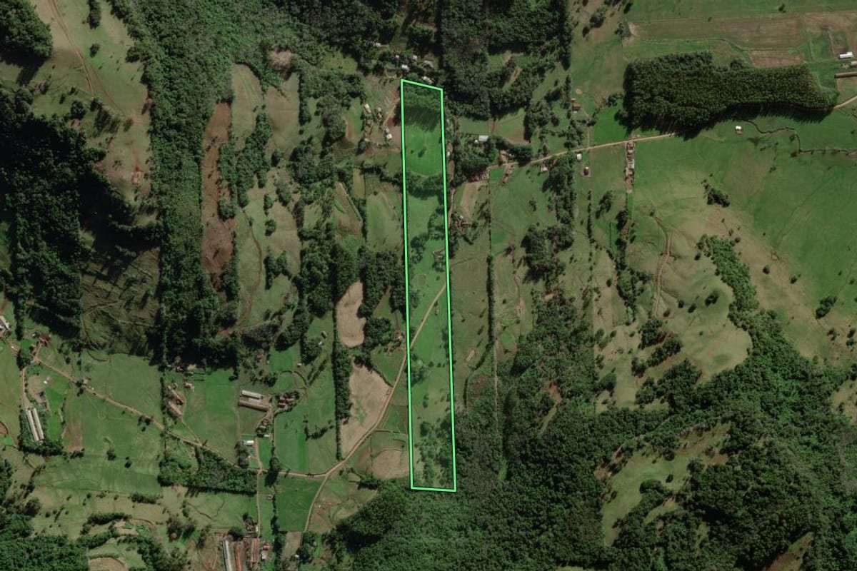 Imagem de satélite do imóvel rural em Marques de Souza (RS), com o contorno declarado no CAR desenhado por cima.
