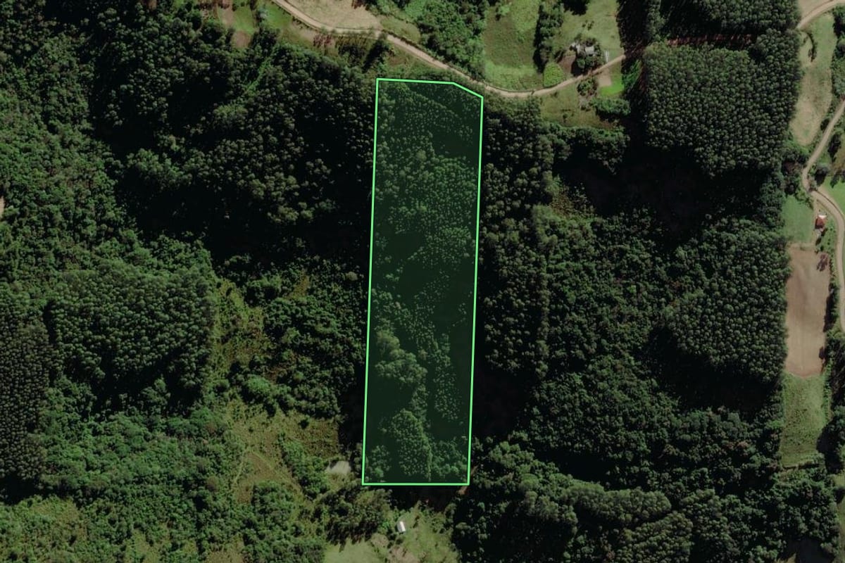 Imagem de satélite do imóvel rural em Marques de Souza (RS), com o contorno declarado no CAR desenhado por cima.