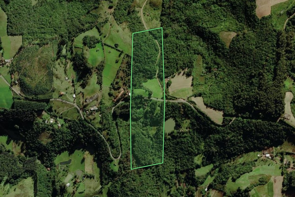 Imagem de satélite do imóvel rural em Marques de Souza (RS), com o contorno declarado no CAR desenhado por cima.