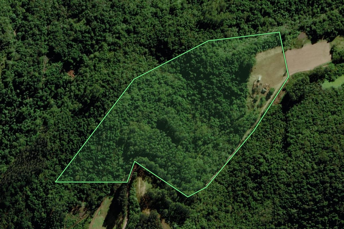Imagem de satélite do imóvel rural em Marques de Souza (RS), com o contorno declarado no CAR desenhado por cima.