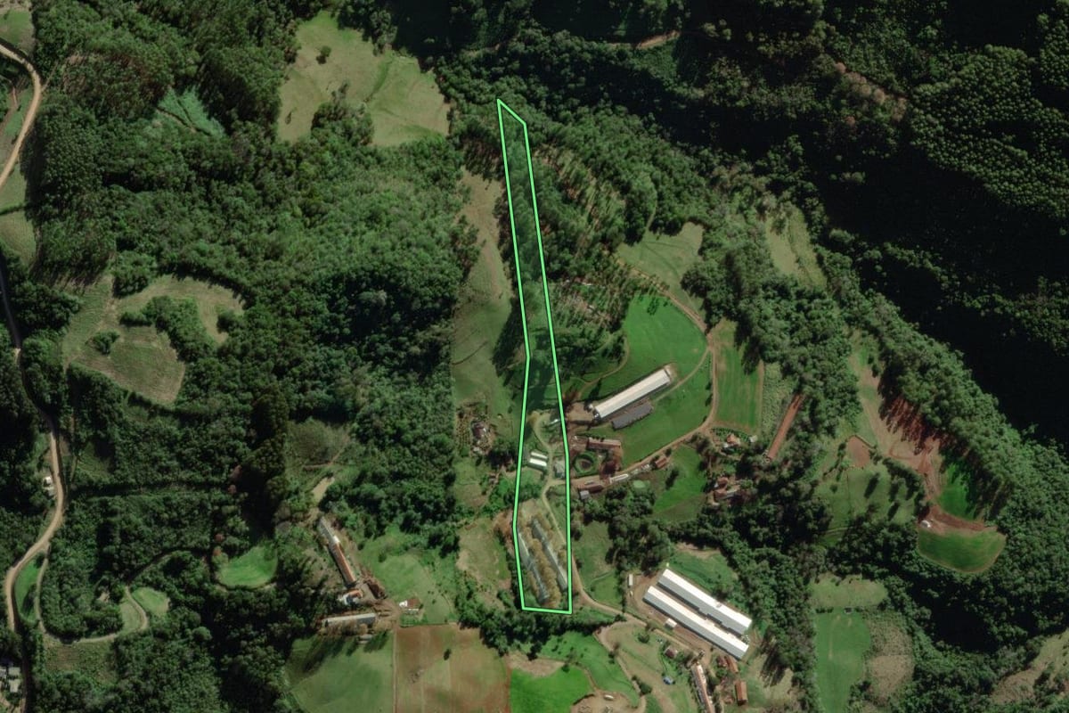 Imagem de satélite do imóvel rural em Marques de Souza (RS), com o contorno declarado no CAR desenhado por cima.