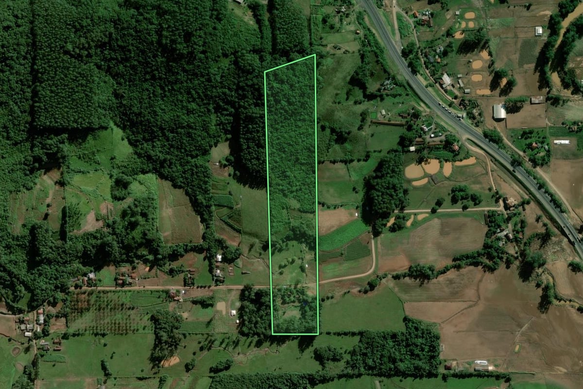 Imagem de satélite do imóvel rural em Marques de Souza (RS), com o contorno declarado no CAR desenhado por cima.