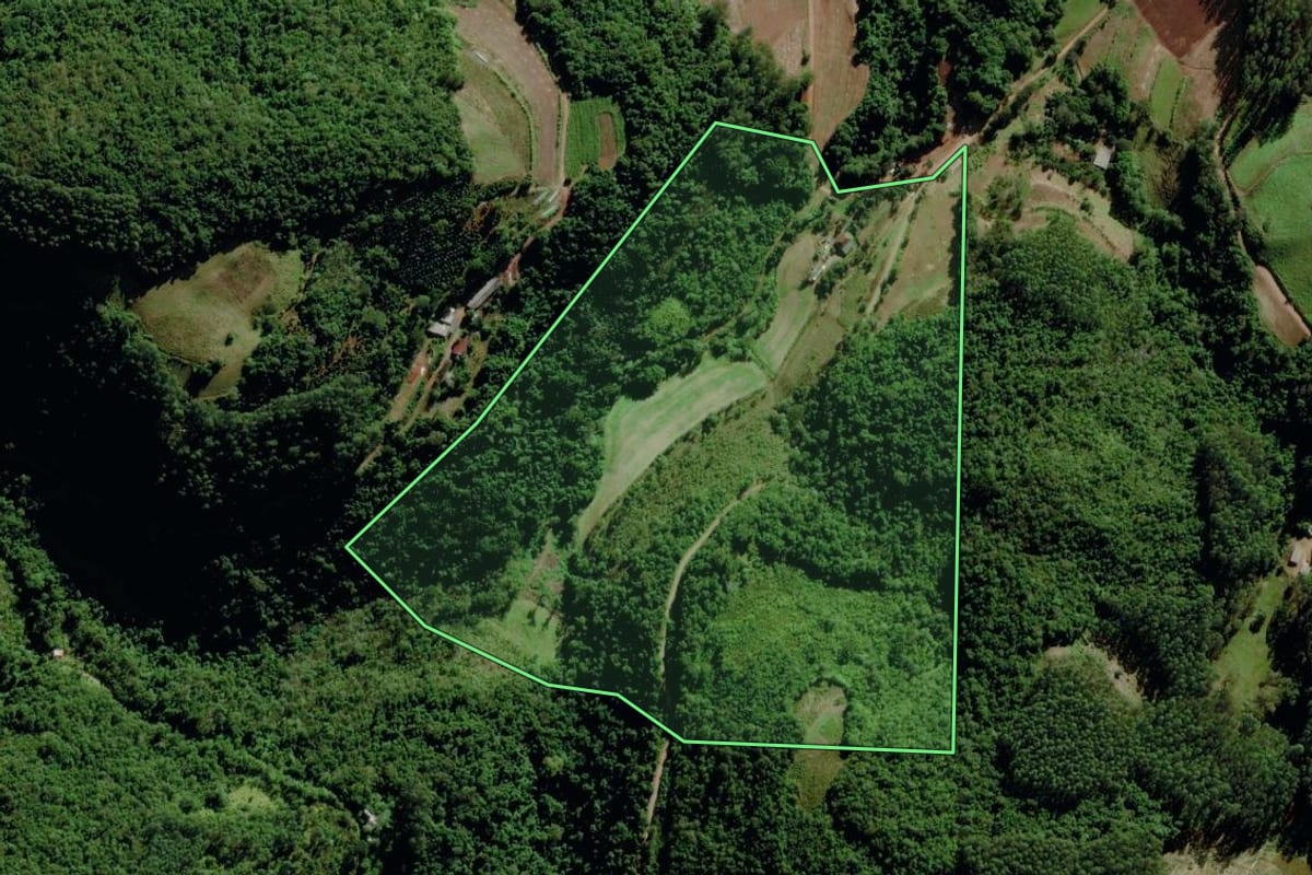 Imagem de satélite do imóvel rural em Marques de Souza (RS), com o contorno declarado no CAR desenhado por cima.