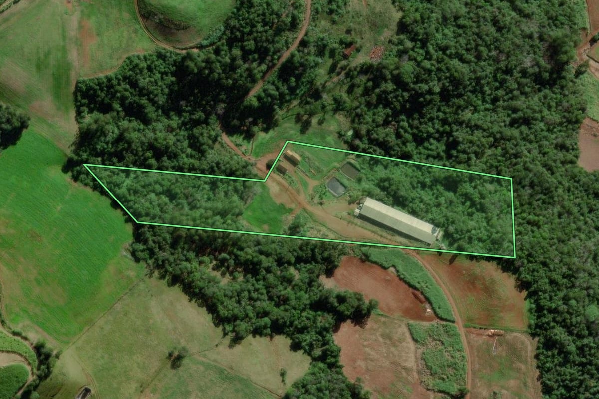 Imagem de satélite do imóvel rural em Marques de Souza (RS), com o contorno declarado no CAR desenhado por cima.