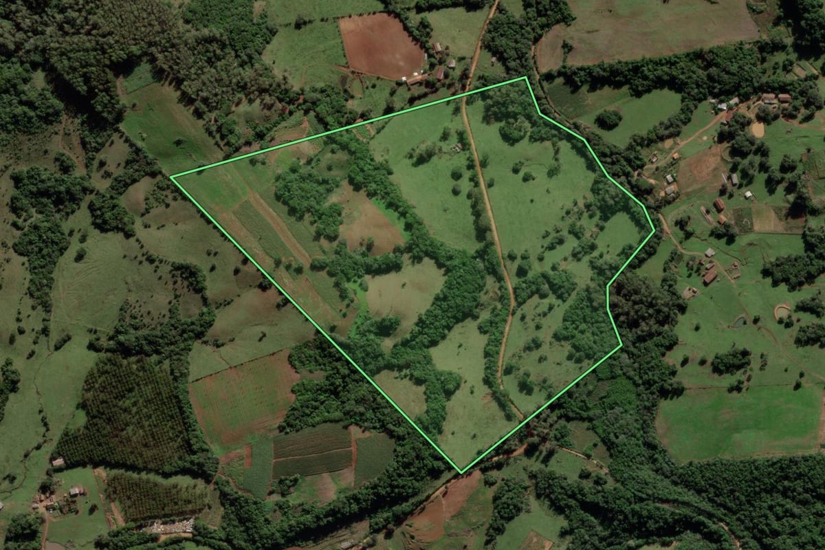 Imagem de satélite do imóvel rural em Mata (RS), com o contorno declarado no CAR desenhado por cima.