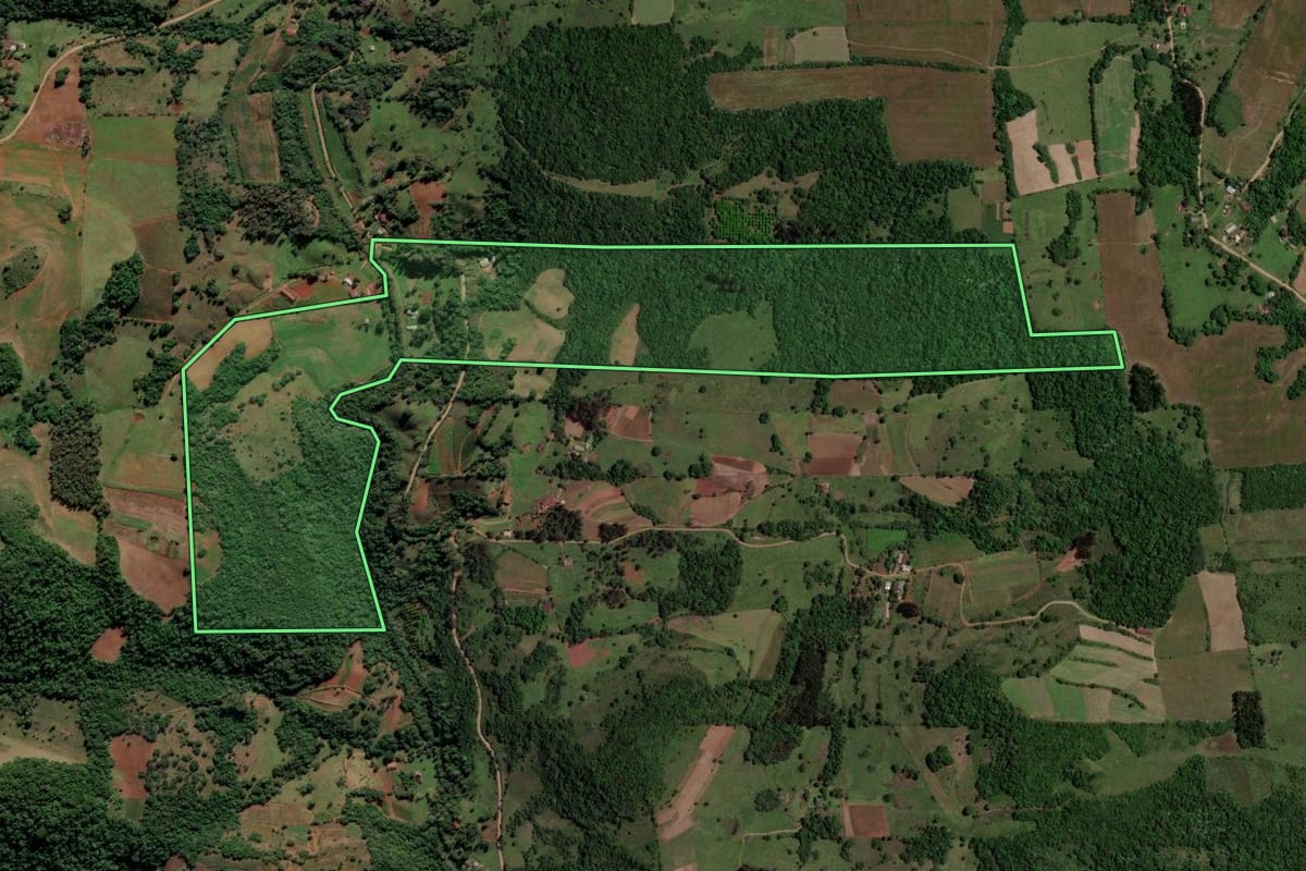 Imagem de satélite do imóvel rural em Mata (RS), com o contorno declarado no CAR desenhado por cima.
