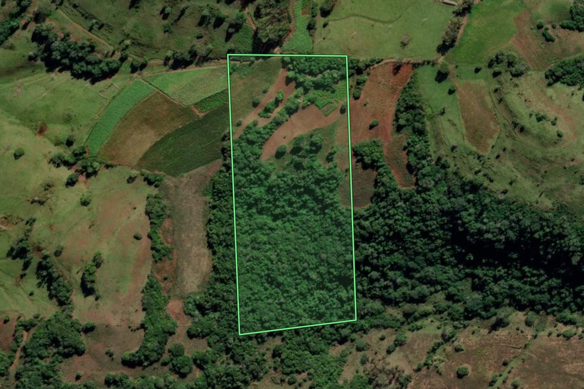 Imagem de satélite do imóvel rural em Mata (RS), com o contorno declarado no CAR desenhado por cima.