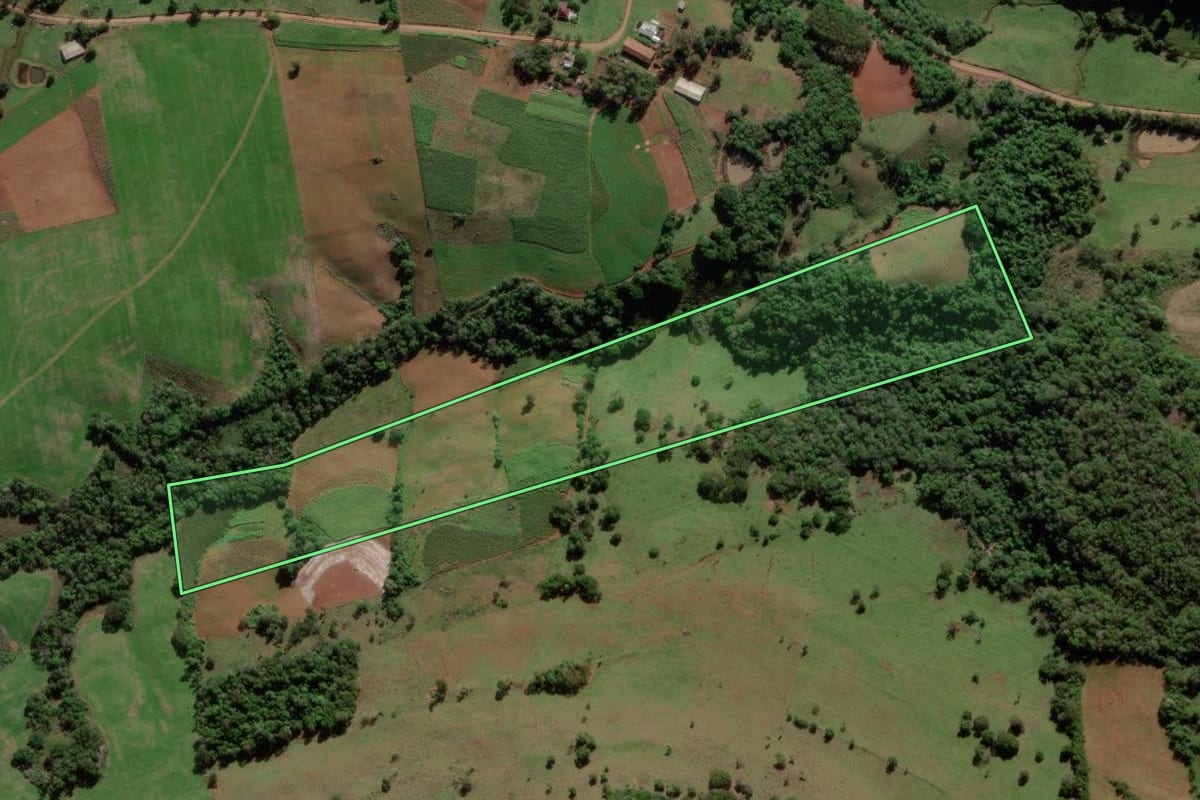 Imagem de satélite do imóvel rural em Mata (RS), com o contorno declarado no CAR desenhado por cima.