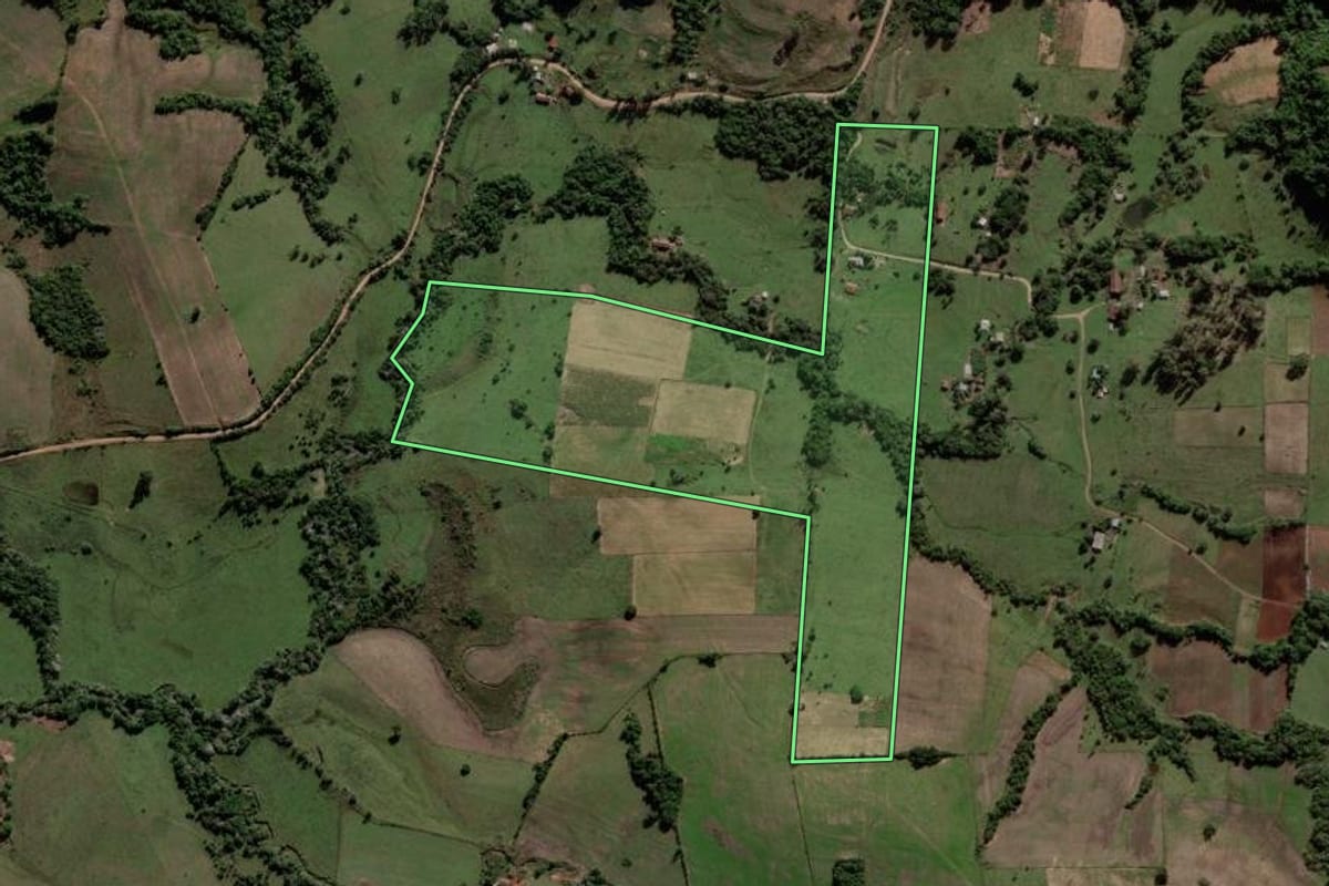 Imagem de satélite do imóvel rural em Mata (RS), com o contorno declarado no CAR desenhado por cima.