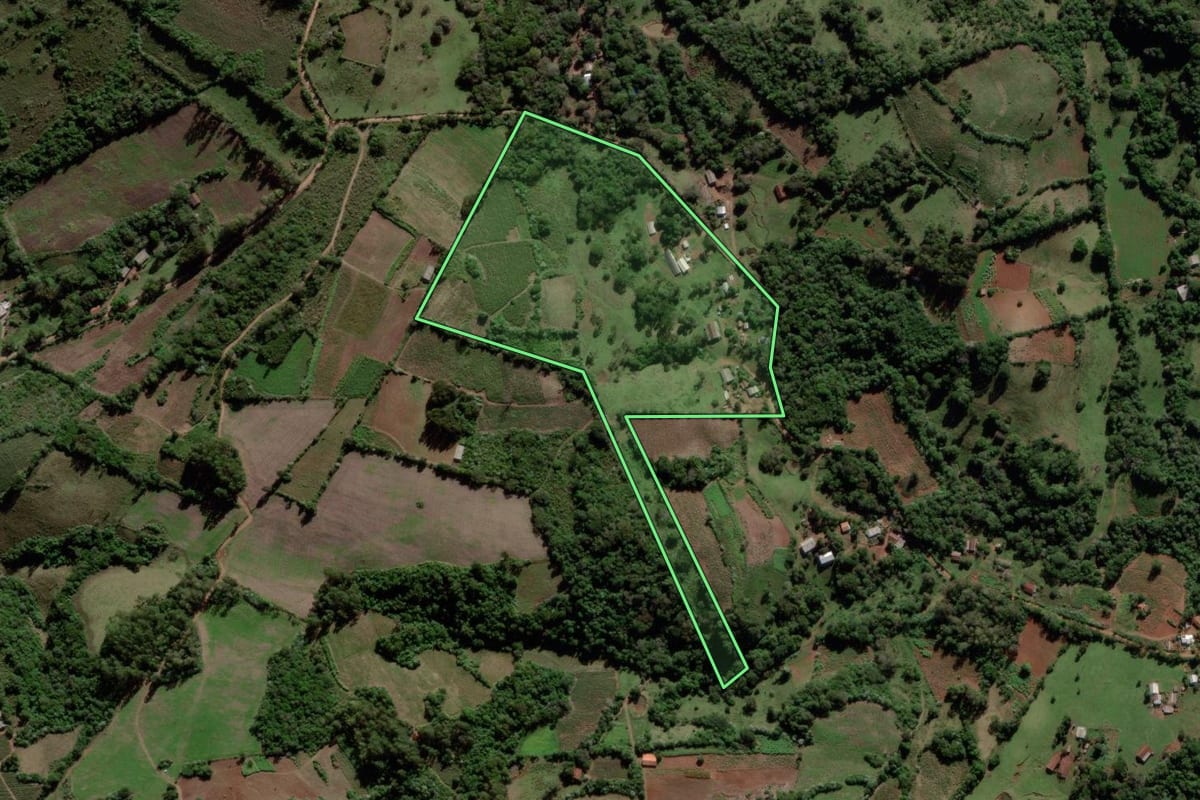 Imagem de satélite do imóvel rural em Mata (RS), com o contorno declarado no CAR desenhado por cima.