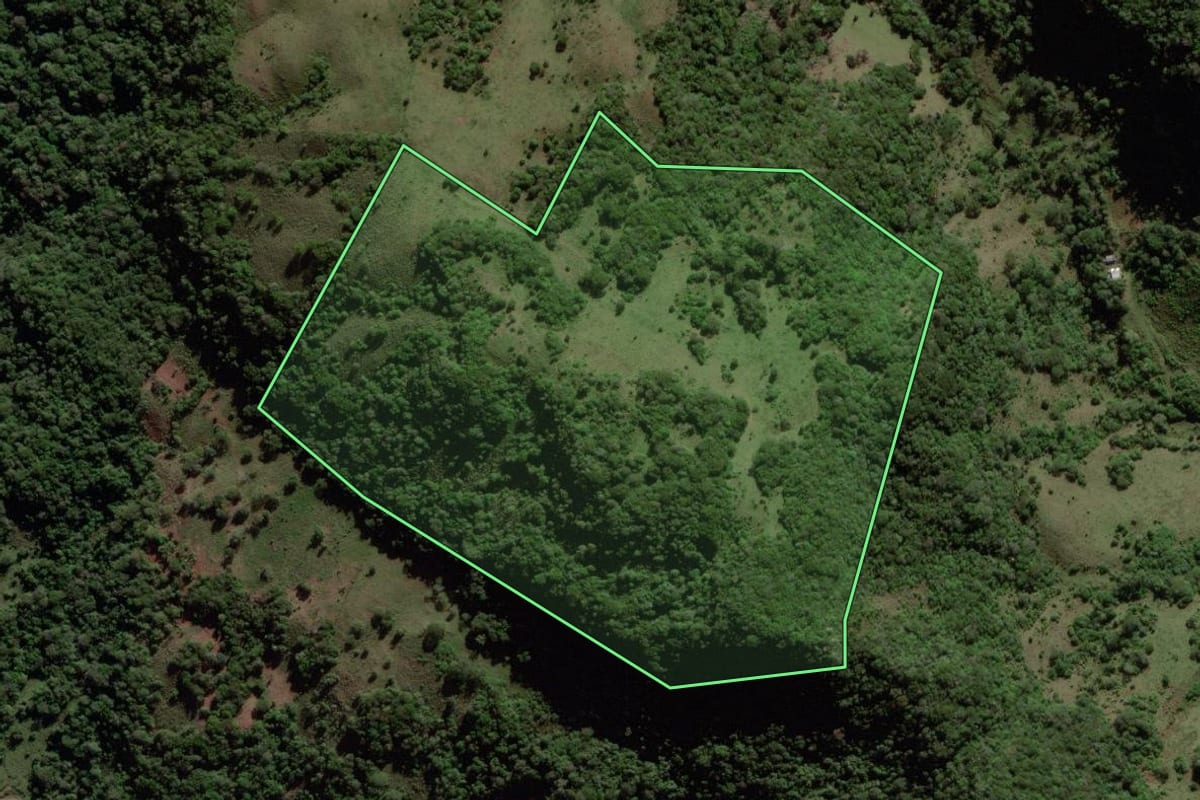 Imagem de satélite do imóvel rural em Mata (RS), com o contorno declarado no CAR desenhado por cima.