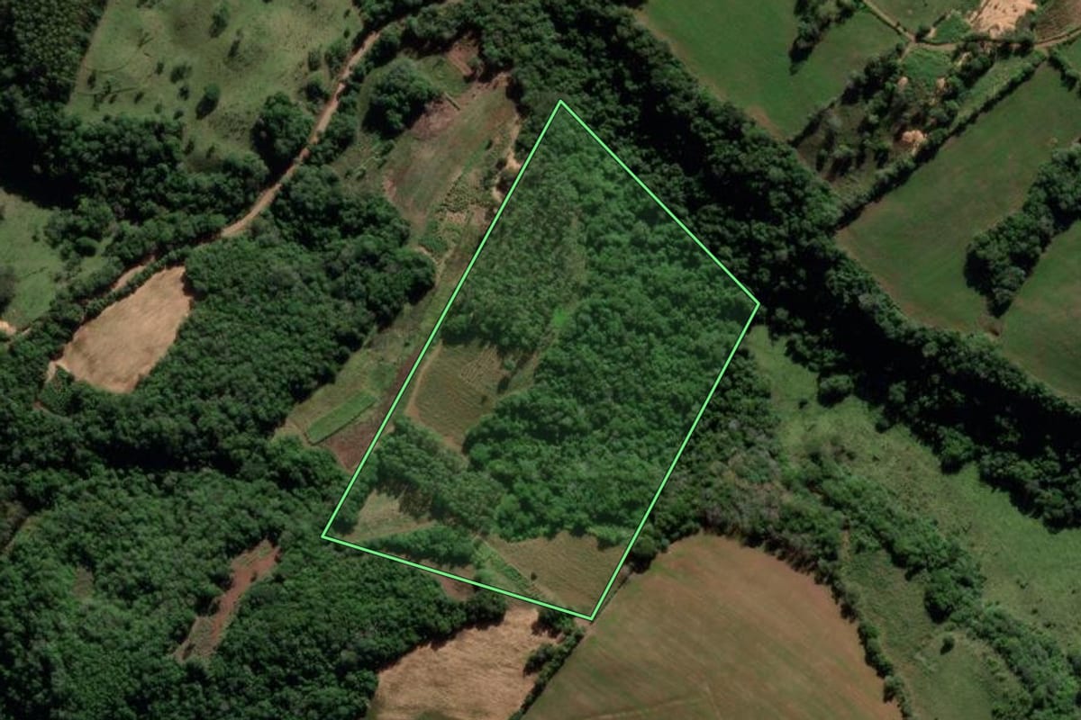 Imagem de satélite do imóvel rural em Mata (RS), com o contorno declarado no CAR desenhado por cima.