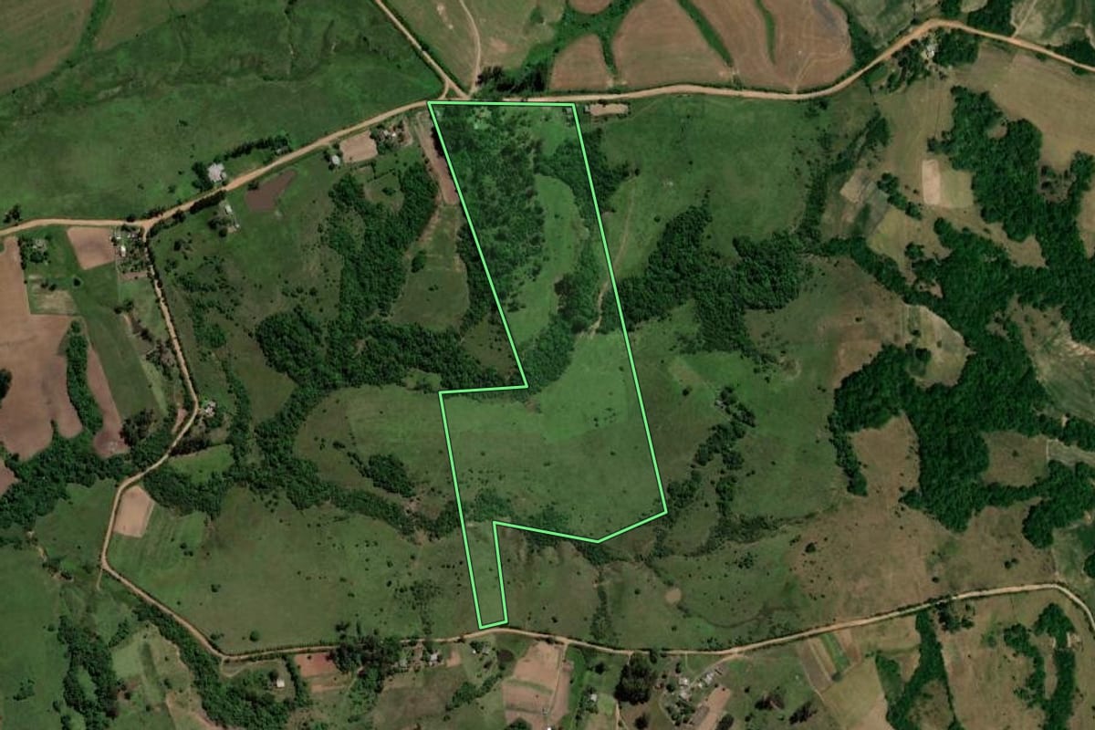 Imagem de satélite do imóvel rural em Mata (RS), com o contorno declarado no CAR desenhado por cima.