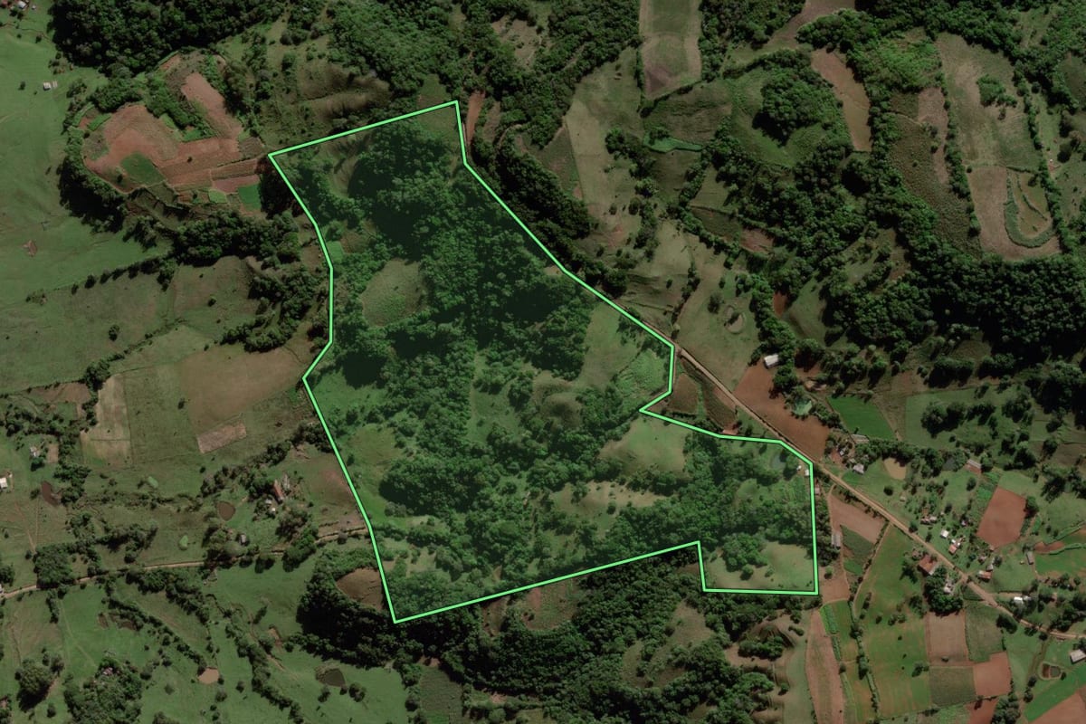 Imagem de satélite do imóvel rural em Mata (RS), com o contorno declarado no CAR desenhado por cima.