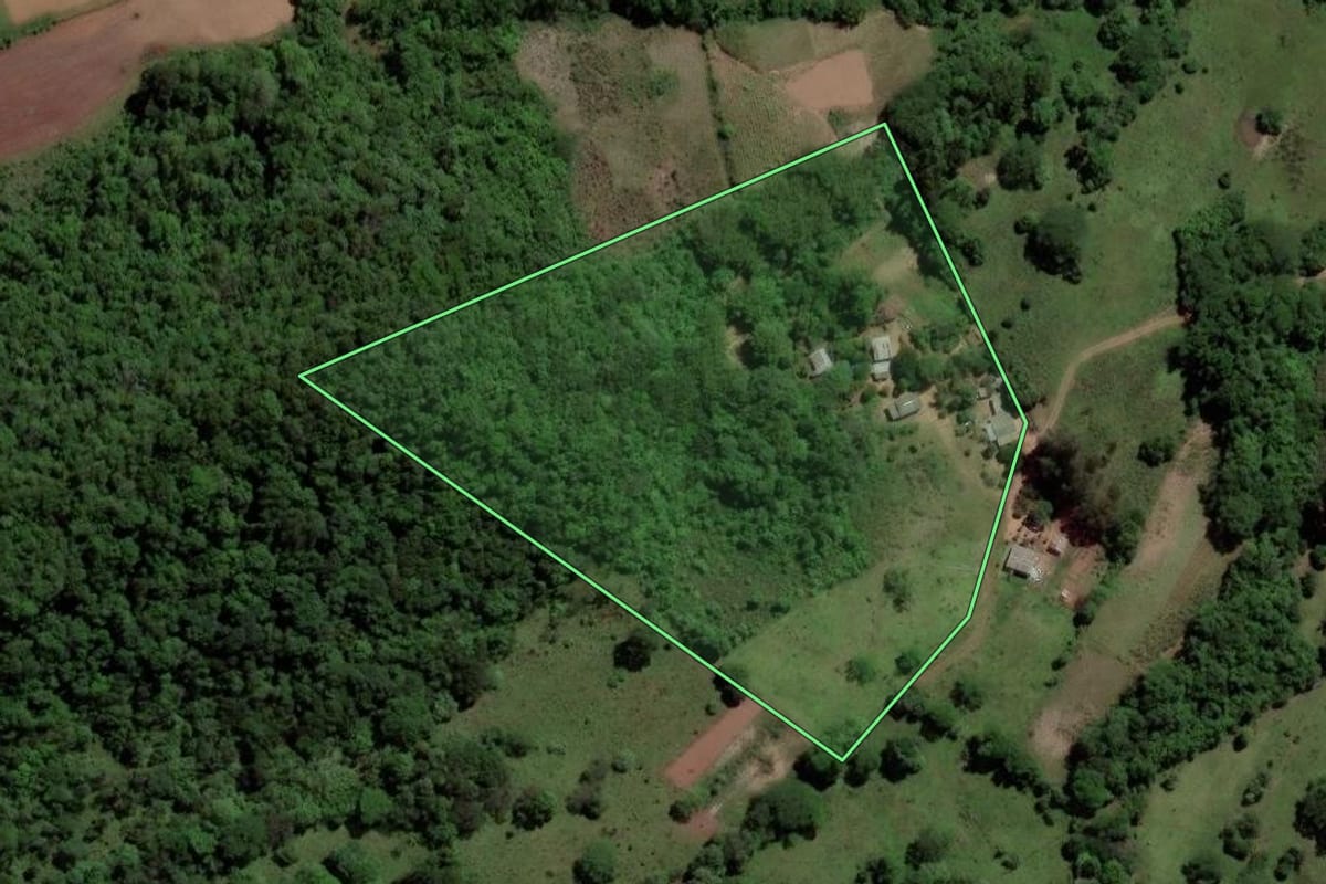 Imagem de satélite do imóvel rural em Mata (RS), com o contorno declarado no CAR desenhado por cima.