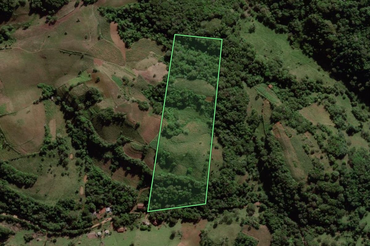 Imagem de satélite do imóvel rural em Mata (RS), com o contorno declarado no CAR desenhado por cima.