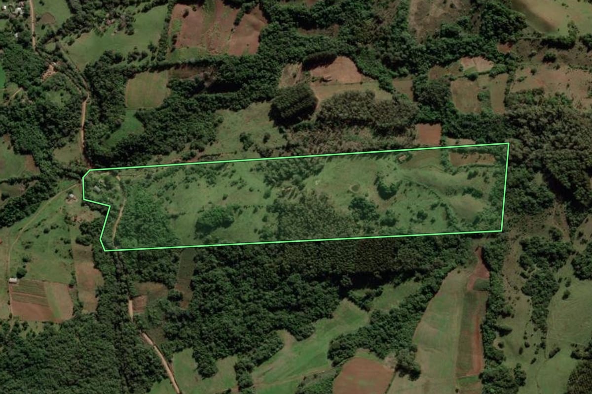 Imagem de satélite do imóvel rural em Mata (RS), com o contorno declarado no CAR desenhado por cima.