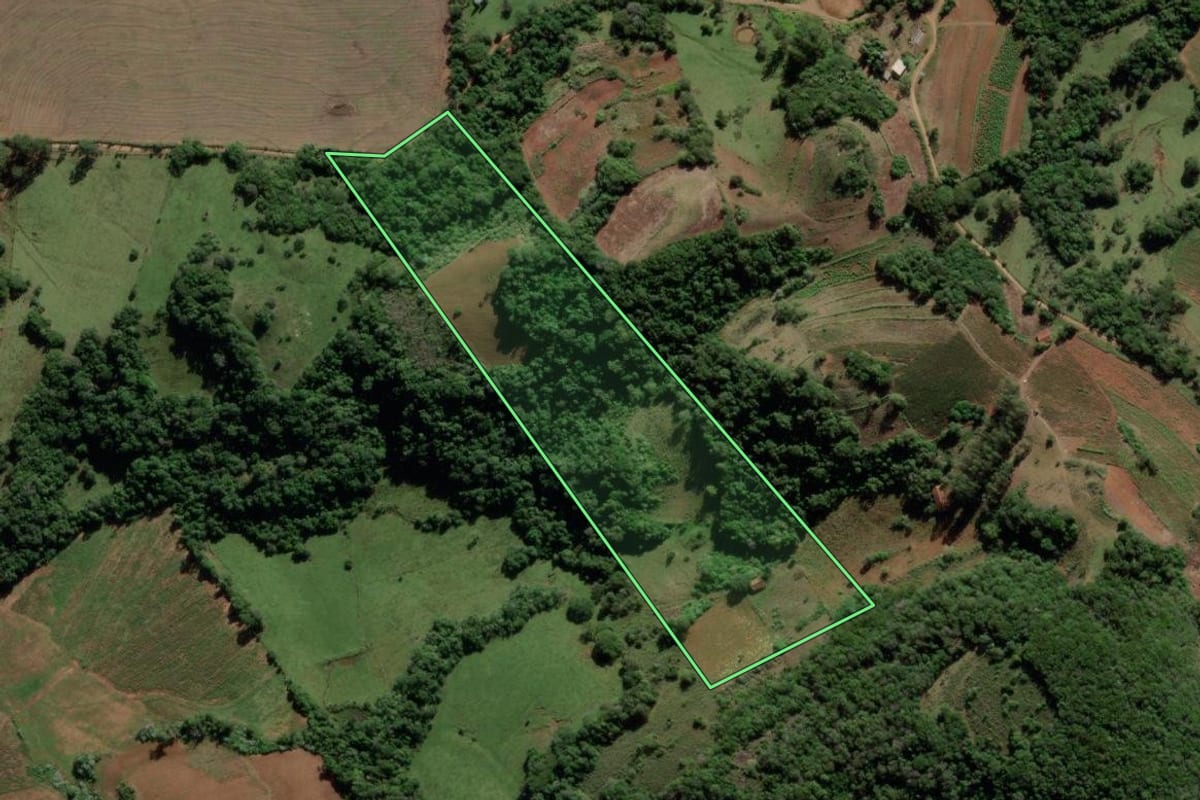 Imagem de satélite do imóvel rural em Mata (RS), com o contorno declarado no CAR desenhado por cima.