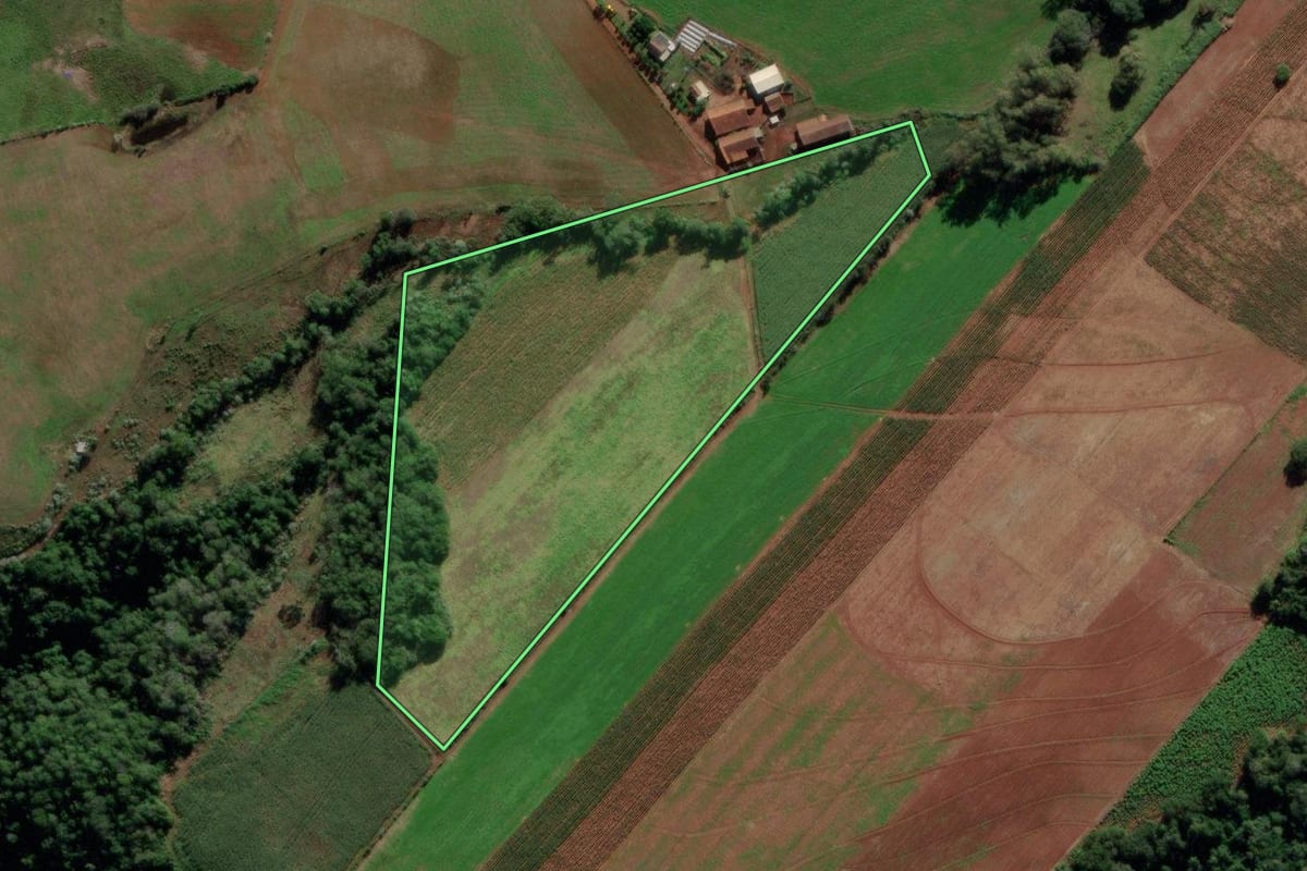 Imagem de satélite do imóvel rural em Mata (RS), com o contorno declarado no CAR desenhado por cima.