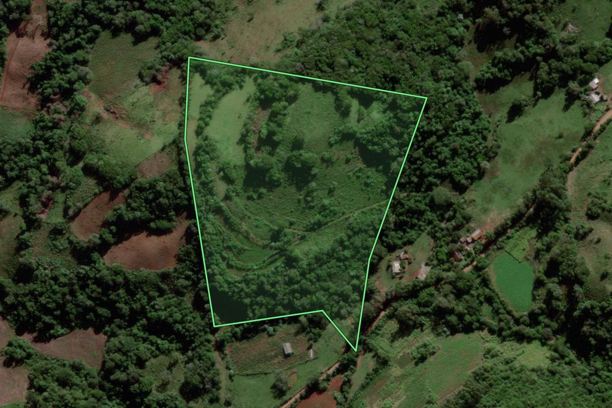 Imagem de satélite do imóvel rural em Mata (RS), com o contorno declarado no CAR desenhado por cima.