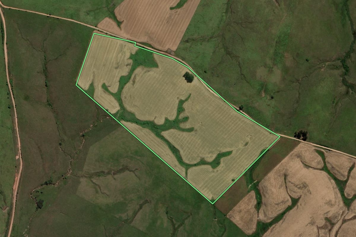 Imagem de satélite do imóvel rural em Mata (RS), com o contorno declarado no CAR desenhado por cima.