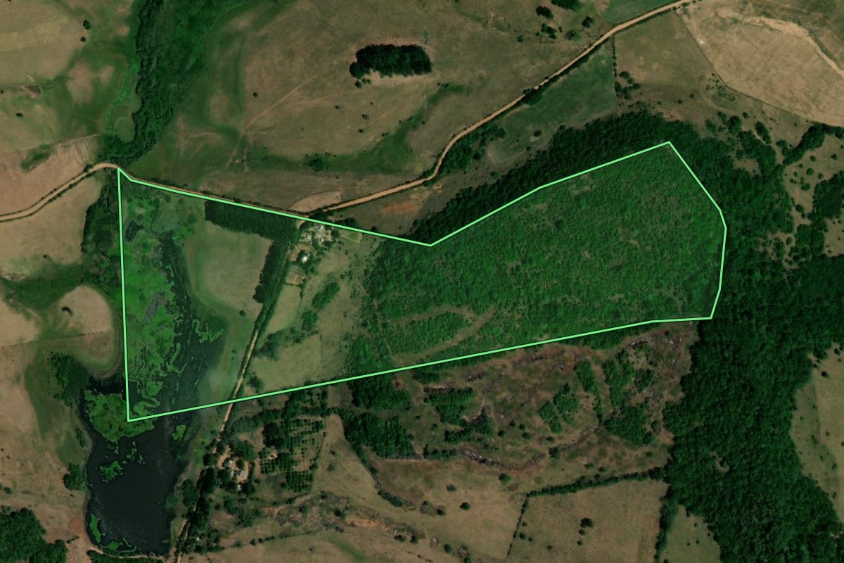 Imagem de satélite do imóvel rural em Mata (RS), com o contorno declarado no CAR desenhado por cima.