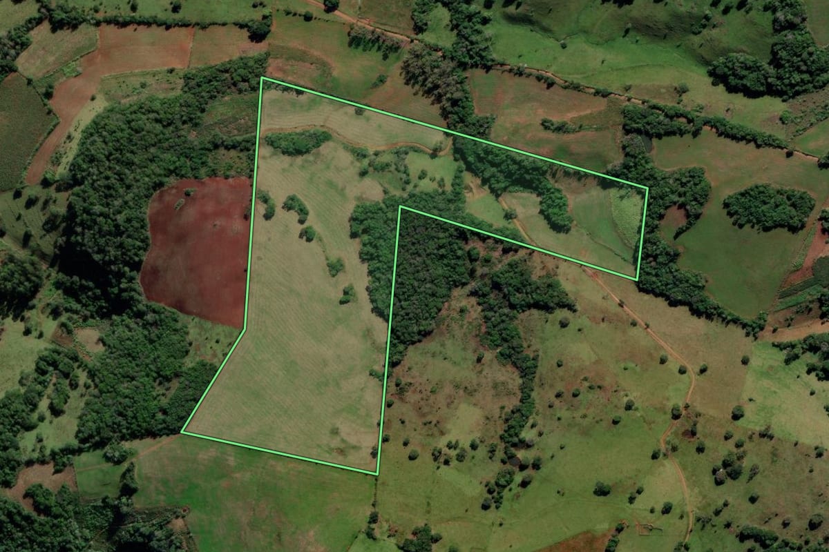 Imagem de satélite do imóvel rural em Mata (RS), com o contorno declarado no CAR desenhado por cima.