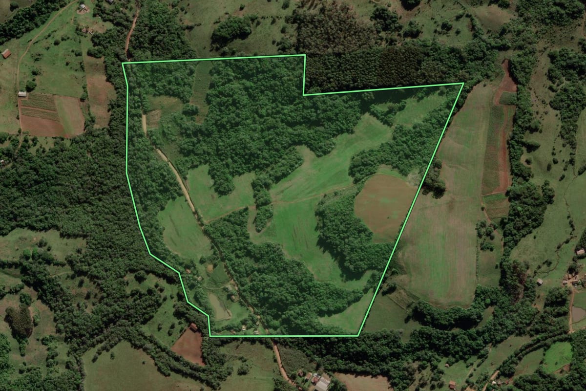 Imagem de satélite do imóvel rural em Mata (RS), com o contorno declarado no CAR desenhado por cima.