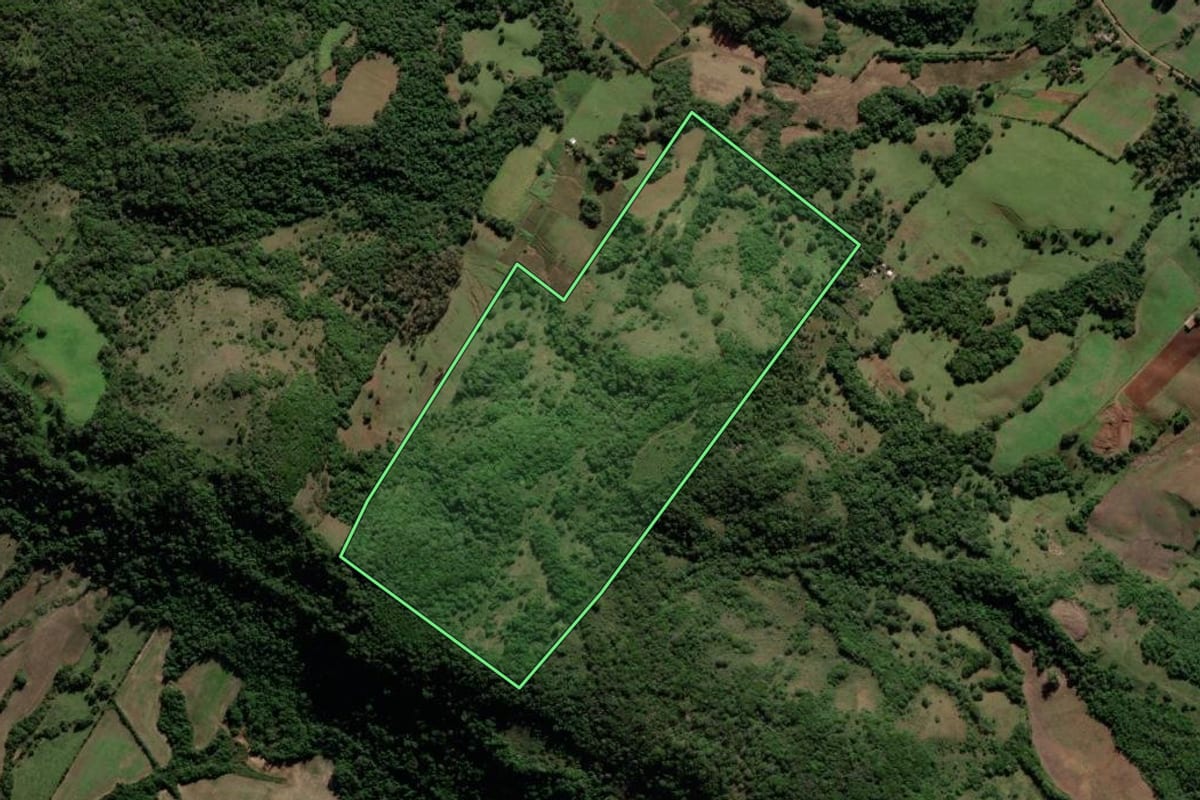 Imagem de satélite do imóvel rural em Mata (RS), com o contorno declarado no CAR desenhado por cima.