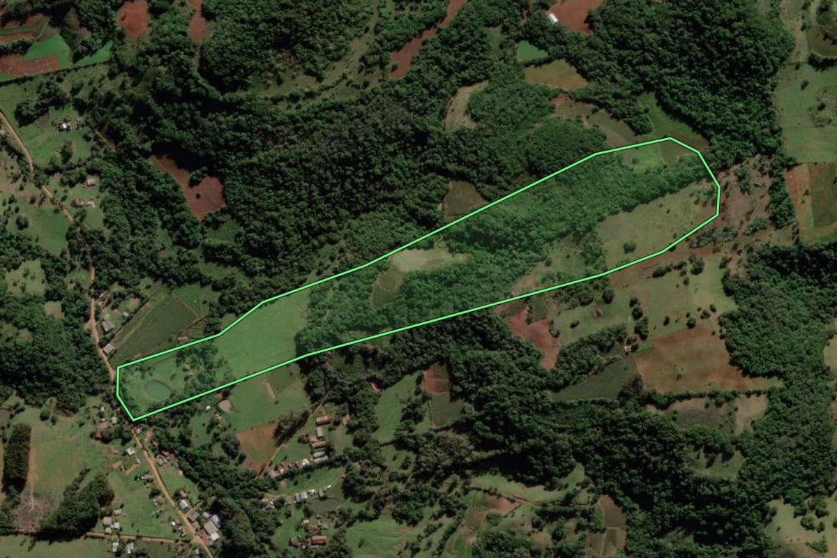 Imagem de satélite do imóvel rural em Mata (RS), com o contorno declarado no CAR desenhado por cima.