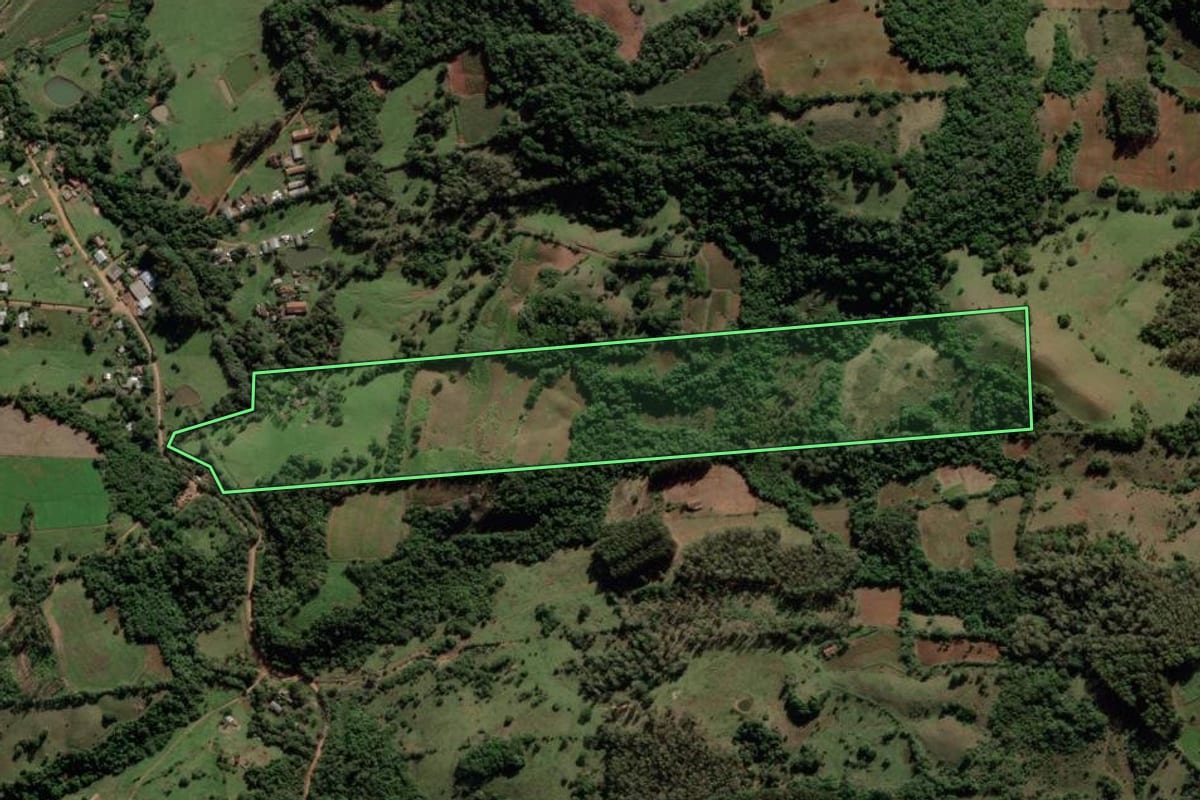 Imagem de satélite do imóvel rural em Mata (RS), com o contorno declarado no CAR desenhado por cima.