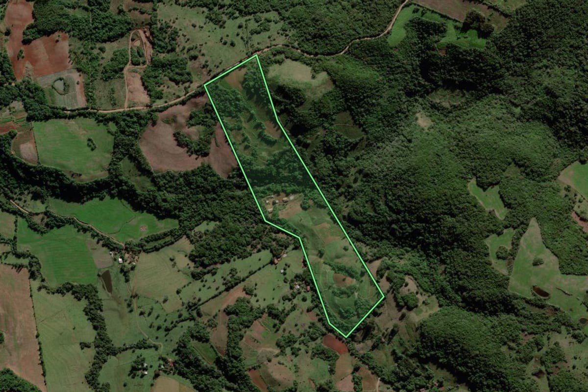 Imagem de satélite do imóvel rural em Mata (RS), com o contorno declarado no CAR desenhado por cima.