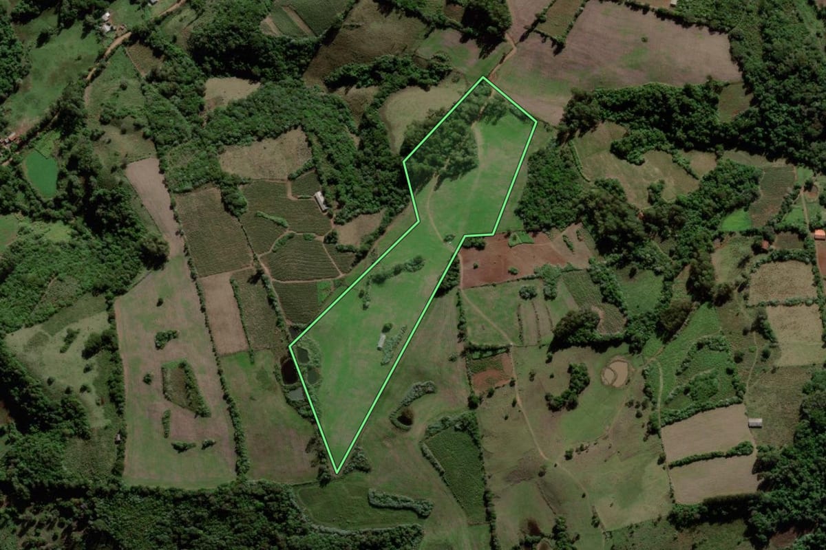 Imagem de satélite do imóvel rural em Mata (RS), com o contorno declarado no CAR desenhado por cima.